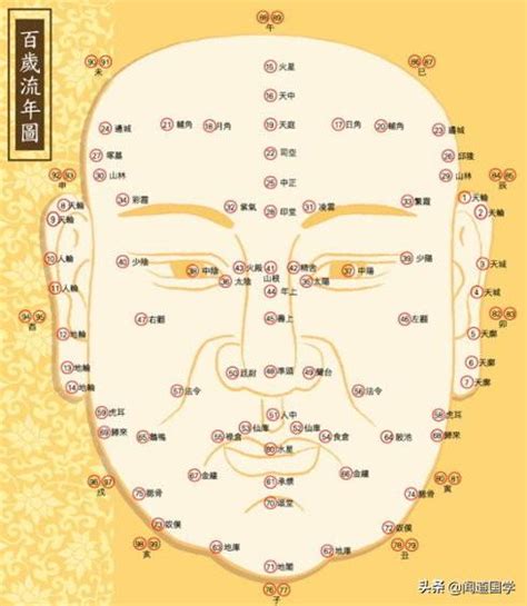 九執流年法|《新玄機》 雜誌——面相流年法之種種